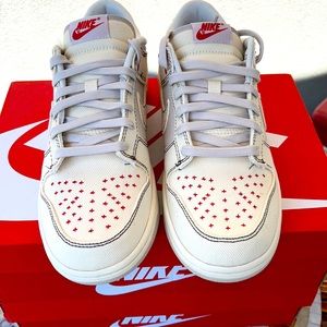 Nike Dunk Low Retro SE these are Special Editions New in the box lucky to have